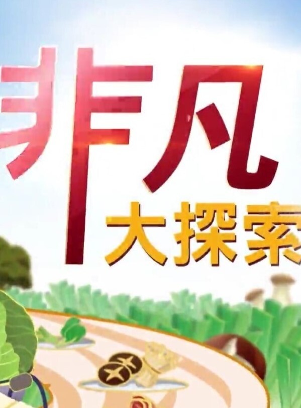 砂舞舞厅可以摸奶抠逼 - 笔盒